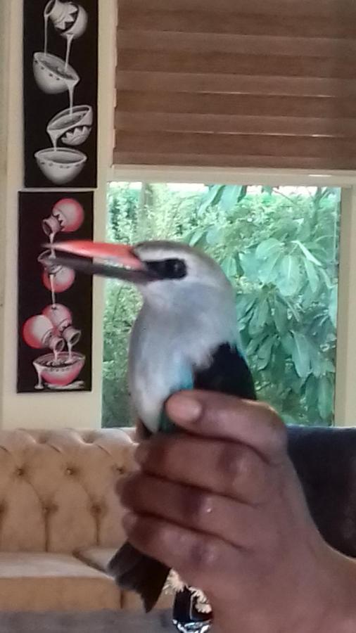 Ikaze B&B Kigali Dış mekan fotoğraf